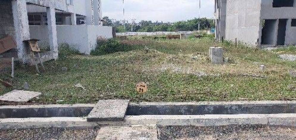 plot7